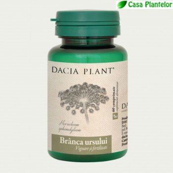 Branca Ursului - 60cps - Dacia Plant - Revigorant