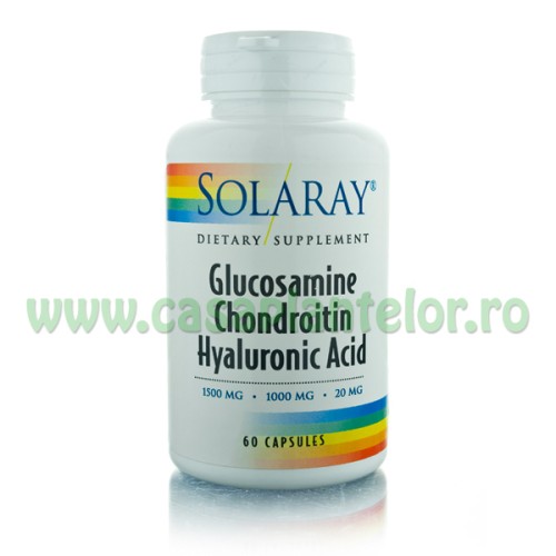 Glucosamine Chondroitin