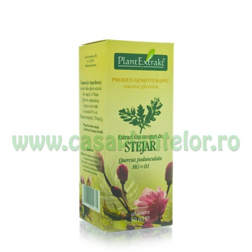 Stejar Muguri